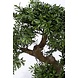 Greenmoods Kunst bonsai boompje 70 cm in pot Greenmoods Kunst bonsai boompje 70 cm in pot