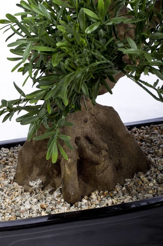 Greenmoods Künstlicher Bonsai-Baum 70 - Topf im cm Greenmoods