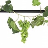 Greenmoods Druiven guirlande brandvertragend 186 cm Greenmoods Druiven guirlande brandvertragend 186 cm