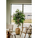 Greenmoods Kunstplant Longifolia Royaal 180 cm Greenmoods Kunstplant Longifolia Royaal 180 cm