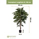 Greenmoods Kunstplant Longifolia Royaal 180 cm Greenmoods Kunstplant Longifolia Royaal 180 cm