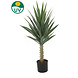 Greenmoods Kunstplant Yucca 100 cm UV Greenmoods Kunstplant Yucca 100 cm UV
