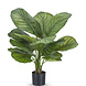 Greenmoods Kunstplant Calathea Fasciata 53 cm in pot Greenmoods Kunstplant Calathea Fasciata 53 cm in pot