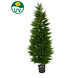 Greenmoods Kunstplant Conifeer toren 120 cm UV Greenmoods Kunstplant Conifeer toren 120 cm UV