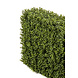 Greenmoods Kunst Buxushaag 70x20x50 cm UV Greenmoods Kunst Buxushaag 70x20x50 cm UV