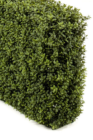 Emerald Recinzione di Bosso Artificiale 100x20x25 cm