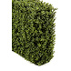 Greenmoods Kunst Buxushaag 70x20x50 cm UV Greenmoods Kunst Buxushaag 70x20x50 cm UV