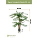 Greenmoods Cycas Kunstpalm Classic 135 cm Greenmoods Cycas Kunstpalm Classic 135 cm