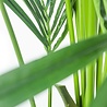 Greenmoods Kunstpalm Kentia 135 cm Greenmoods Kunstpalm Kentia 135 cm