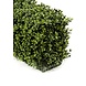 Greenmoods Kunst Buxushaag 100x20x25 cm UV Greenmoods Kunst Buxushaag 100x20x25 cm UV