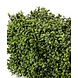 Greenmoods Kunst Buxushaag 100x20x25 cm UV Greenmoods Kunst Buxushaag 100x20x25 cm UV