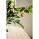 Greenmoods Kunstplant citroenboom 75 cm Greenmoods Kunstplant citroenboom 75 cm