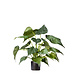 Greenmoods Kunstplant Alocasia 51 cm Greenmoods Kunstplant Alocasia 51 cm