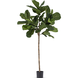 Greenmoods Kunstplant Fiddle Leaf 225 cm Greenmoods Kunstplant Fiddle Leaf 225 cm