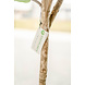 Greenmoods Kunstplant Fiddle Leaf 225 cm Greenmoods Kunstplant Fiddle Leaf 225 cm
