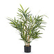 Greenmoods Kunstplant Bamboe Royaal 70 cm Greenmoods Kunstplant Bamboe Royaal 70 cm