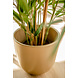 Greenmoods Kunstplant Bamboe Royaal 70 cm Greenmoods Kunstplant Bamboe Royaal 70 cm