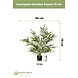 Greenmoods Kunstplant Bamboe Royaal 70 cm Greenmoods Kunstplant Bamboe Royaal 70 cm