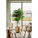 Greenmoods Kunstplant Longifolia Royaal 150 cm Greenmoods Kunstplant Longifolia Royaal 150 cm