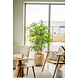 Greenmoods Kunstplant Bamboe Deluxe 150 cm Greenmoods Kunstplant Bamboe Deluxe 150 cm