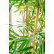 Greenmoods Kunstplant Bamboe Deluxe 150 cm Greenmoods Kunstplant Bamboe Deluxe 150 cm