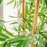 Greenmoods Kunstplant Bamboe Deluxe 150 cm Greenmoods Kunstplant Bamboe Deluxe 150 cm