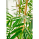 Greenmoods Kunstplant Bamboe Deluxe 150 cm Greenmoods Kunstplant Bamboe Deluxe 150 cm
