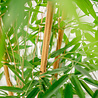 Greenmoods Kunstplant Bamboe Deluxe 150 cm Greenmoods Kunstplant Bamboe Deluxe 150 cm