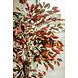Greenmoods Kunstplant Ficus groen/rood 180 cm brandvertragend Greenmoods Kunstplant Ficus groen/rood 180 cm brandvertragend