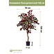 Greenmoods Kunstplant Ficus groen/rood 150 cm Greenmoods Kunstplant Ficus groen/rood 150 cm