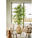 Greenmoods Kunstplant bamboe 210 cm Greenmoods Kunstplant bamboe 210 cm