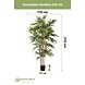 Greenmoods Kunstplant bamboe 210 cm Greenmoods Kunstplant bamboe 210 cm