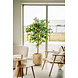 Greenmoods Kunstplant Ficus Groen 180 cm Greenmoods Kunstplant Ficus Groen 180 cm