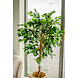 Greenmoods Kunstplant Ficus Groen 180 cm Greenmoods Kunstplant Ficus Groen 180 cm