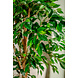 Greenmoods Kunstplant Ficus Groen 180 cm Greenmoods Kunstplant Ficus Groen 180 cm