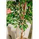 Greenmoods Kunstplant Ficus Groen 180 cm Greenmoods Kunstplant Ficus Groen 180 cm