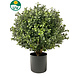 Greenmoods Kunst Buxus op stam d30 cm Greenmoods Kunst Buxus op stam d30 cm
