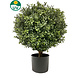 Greenmoods Kunst Buxus op stam d40 cm Greenmoods Kunst Buxus op stam d40 cm