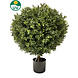 Greenmoods Kunst Buxus op stam d60 cm Greenmoods Kunst Buxus op stam d60 cm