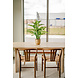 Greenmoods Kunstplant Dieffenbachia 68 cm Greenmoods Kunstplant Dieffenbachia 68 cm