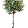 Greenmoods Kunst Olijfboom 190 cm Greenmoods Kunst Olijfboom 190 cm