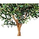 Greenmoods Kunst Olijfboom 190 cm Greenmoods Kunst Olijfboom 190 cm