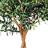 Greenmoods Kunst Olijfboom 190 cm Greenmoods Kunst Olijfboom 190 cm
