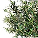 Greenmoods Kunst Olijfboom 190 cm Greenmoods Kunst Olijfboom 190 cm