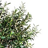 Greenmoods Kunst Olijfboom 190 cm Greenmoods Kunst Olijfboom 190 cm