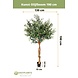 Greenmoods Kunst Olijfboom 190 cm Greenmoods Kunst Olijfboom 190 cm