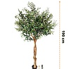 Greenmoods Kunst Olijfboom 190 cm Greenmoods Kunst Olijfboom 190 cm