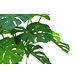 Greenmoods Kunstplant Monstera op stam 145 cm Greenmoods Kunstplant Monstera op stam 145 cm