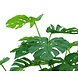 Greenmoods Kunstplant Monstera op stam 145 cm Greenmoods Kunstplant Monstera op stam 145 cm