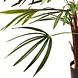 Greenmoods Kunstplant Lady Palm 70 cm Greenmoods Kunstplant Lady Palm 70 cm